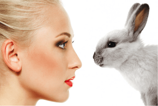 Vegan Beauty Products Bunny